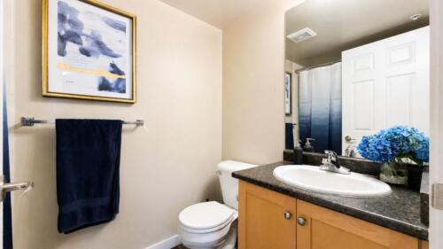 Ensuite-37